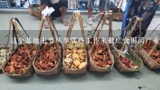 这个基地主要从事哪些工作来推广食用菌产业的发展呢？