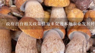 政府出台相关政策措施来促进本地农业发展时食用菌产业是否应该被纳入其中以获得更多支持和保护？