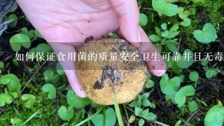 如何保证食用菌的质量安全卫生可靠并且无毒副作用吗？