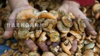 什么是抗真菌粉剂