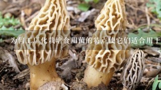 为何工厂化栽培食用菌的特点使它们适合用于大规模生产并且能够提高市场竞争力优势一句话的问题为什么工厂化栽培食用菌可以更有效地适应全球需求并符合现代社会的要求