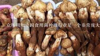 众所周知中国食用菌种植行业是一个非常庞大的产业目前市场上有许多不同的菌种比如香菇金针菇等对于初次接触食用菌的人来说您能否推荐一种比较适合初学者栽培的菌种