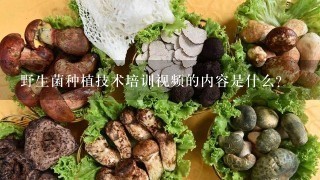 野生菌种植技术培训视频的内容是什么