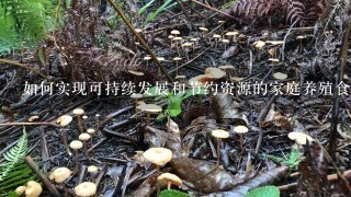 如何实现可持续发展和节约资源的家庭养殖食用菌生产模式例如采用循环利用等