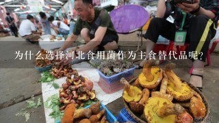 为什么选择河北食用菌作为主食替代品呢