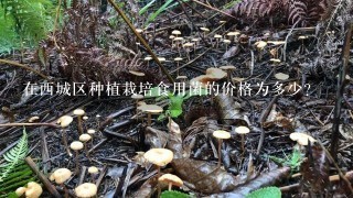 在西城区种植栽培食用菌的价格为多少