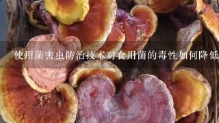 使用菌害虫防治技术对食用菌的毒性如何降低?