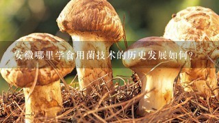 安徽哪里学食用菌技术的历史发展如何?