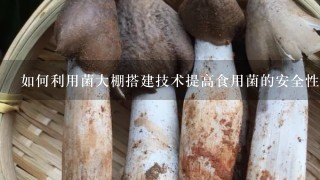 如何利用菌大棚搭建技术提高食用菌的安全性?