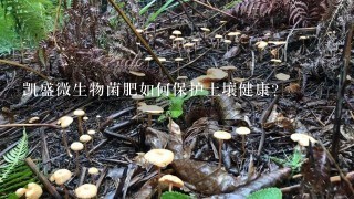 凯盛微生物菌肥如何保护土壤健康?