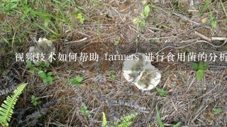 视频技术如何帮助 farmers 进行食用菌的分析?