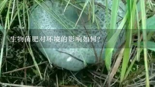 生物菌肥对环境的影响如何?