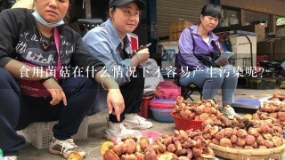 食用菌菇在什么情况下才容易产生污染呢?