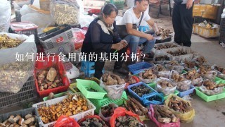 如何进行食用菌的基因分析?