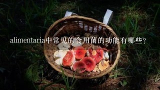 alimentaria中常见的食用菌的功能有哪些?