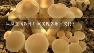 凤凰直播软件如何实现多语言支持?