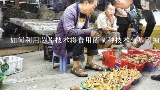 如何利用芯片技术将食用菌制种技术与基因编辑技术结合起来?