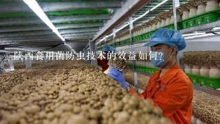 陕西食用菌防虫技术的效益如何?