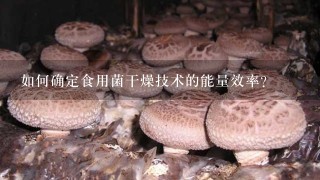 如何确定食用菌干燥技术的能量效率?