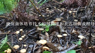 使用菌体培养技术如何构建和表达细菌或酵母菌的基因?