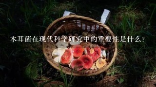 木耳菌在现代科学研究中的重要性是什么?