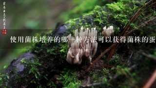 使用菌株培养的哪一种方法可以获得菌株的蛋白质组?