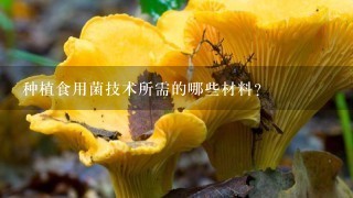 种植食用菌技术所需的哪些材料?