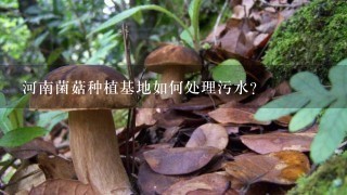 河南菌菇种植基地如何处理污水?