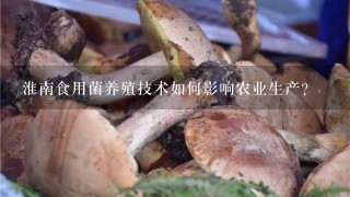 淮南食用菌养殖技术如何影响农业生产?