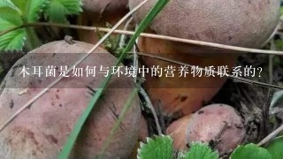 木耳菌是如何与环境中的营养物质联系的?