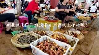 湖北食用菌养殖技术如何影响土壤环境?