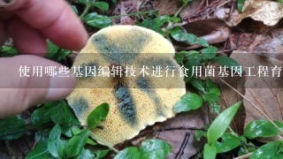 使用哪些基因编辑技术进行食用菌基因工程育种?