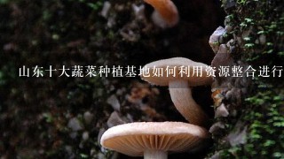 山东十大蔬菜种植基地如何利用资源整合进行农业生产?