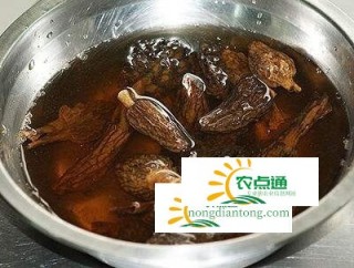 如何快速泡发羊肚菌？新鲜羊肚菌怎么保存？,第2图