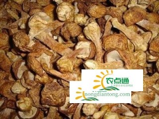 干松茸怎么做好吃？干松茸的吃法大全,第3图