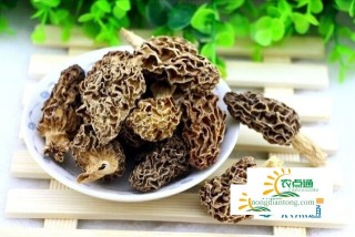 羊肚菌，高价格高价值的食用菌,第1图