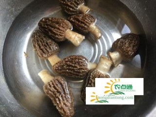 羊肚菌的功效与作用点，羊肚菌怎么保存,第2图