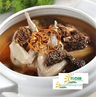 羊肚菌煲汤的做法，羊肚菌具体营养价值,第2图