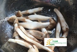 鸡枞菌炖排骨的做法,第1图