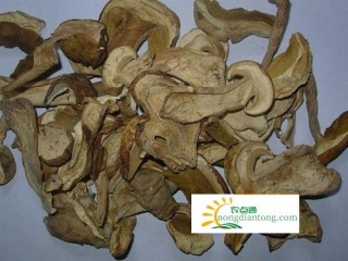 牛肝菌的加工方法，牛肝菌的食用功效,第2图