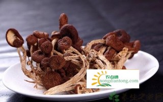 茶树菇的5点食用注意,第1图