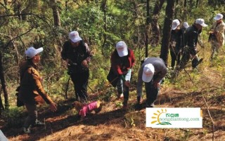 松露生长环境，为您介绍黑松露生长的环境,第3图