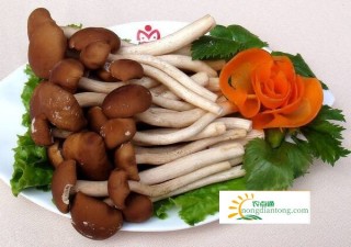 茶树菇跟什么相克，茶树菇的营养价值,第2图