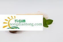 蒜炒鸡腿菇,第2图