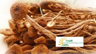 茶树菇能和木耳同食吗?,第2图