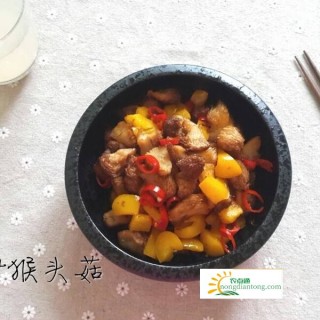 猴头菇怎么吃，十种猴头菇美味吃法包你喜欢,第2图