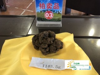 三个松露拍卖出30.4万高价,第2图