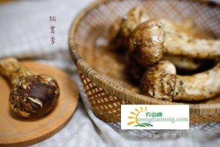 松茸是发物吗？松茸的作用,第3图