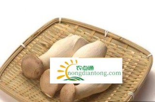 吃鸡腿菇会中毒吗？鸡腿菇怎么吃?,第1图