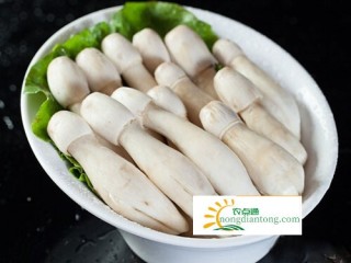 新鲜鸡腿菇是什么样的,第3图